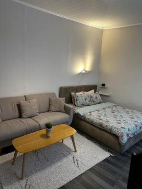 1 Bedroom Apartment near Kadriorg Swan Pond Tallinn
